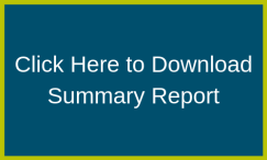 Download Summary Button